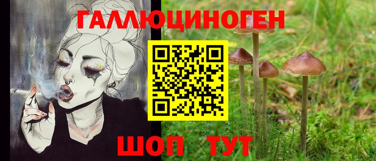 Кирово-Чепецк  Псилоцибиновые грибы Psilocybine cubensis  Вход с VPN 